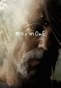 Anemone
